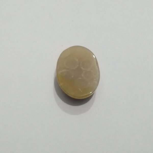 Coral Fossil 16.40ct - Image 3