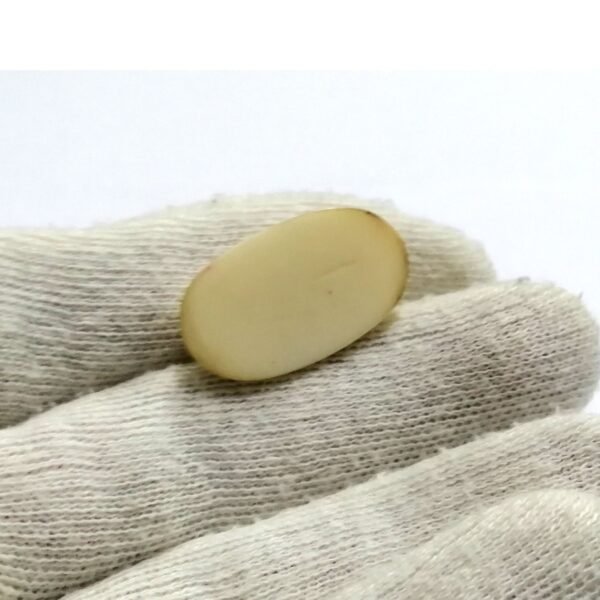 White Coral 8.70ct - Image 2