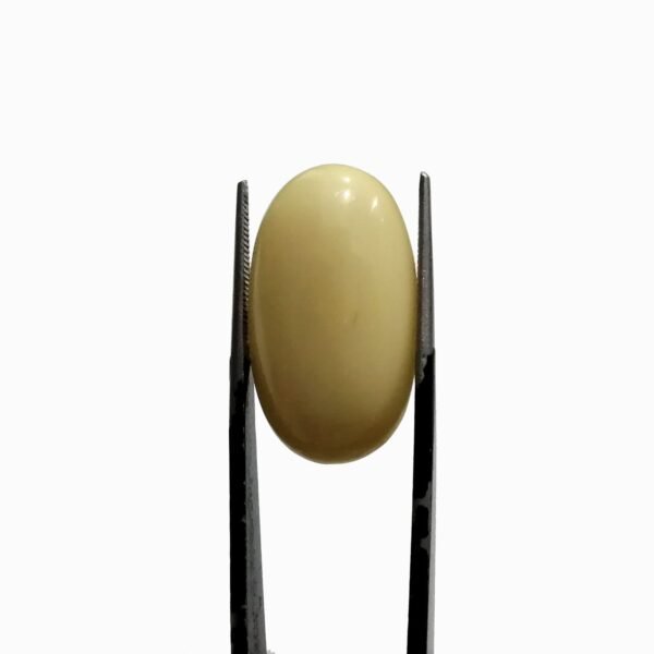 White Coral 8.70ct - Image 3