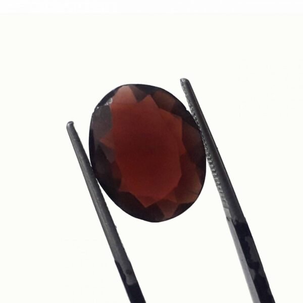 Garnet 6.65ct