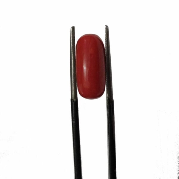 coral Italian 5.45ct