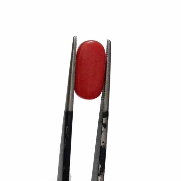 coral Italian 5.0ct - Image 2
