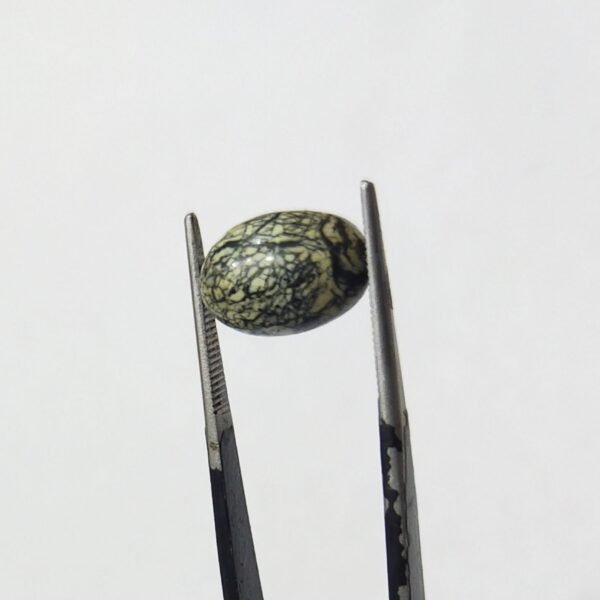 Serpentine 5.45ct