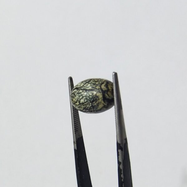 Serpentine 5.45ct - Image 2