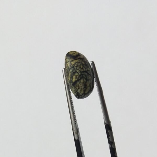 Serpentine 5.45ct - Image 3