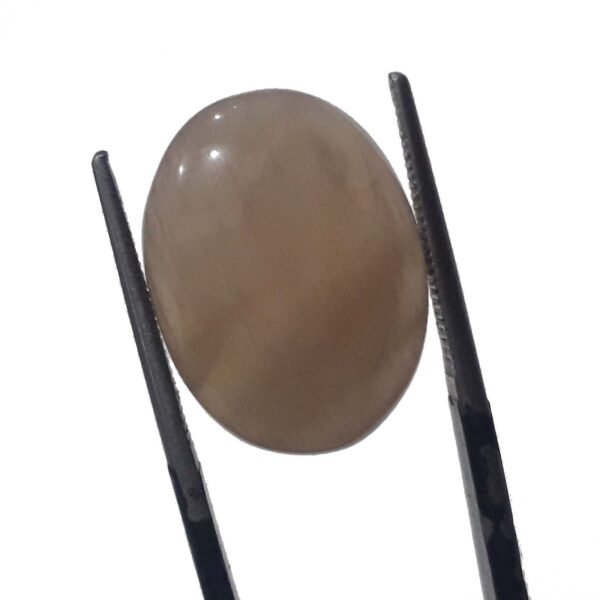 Moonstone 11.10ct