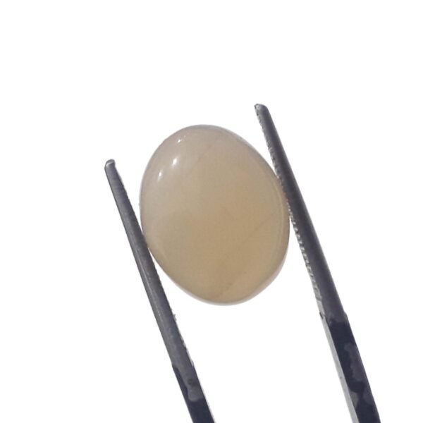 Moonstone 6.70ct
