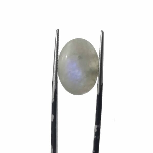 Moonstone Rainbow 8.50ct