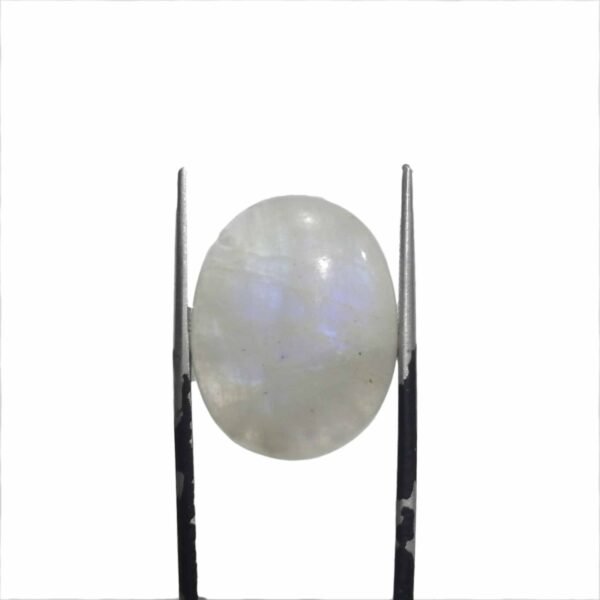 Moonstone Rainbow 19.45ct