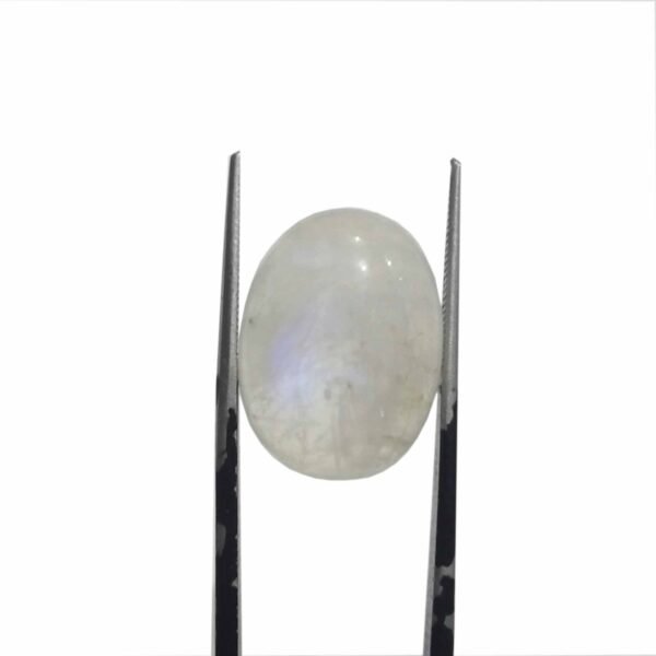 Moonstone Rainbow 14.60ct