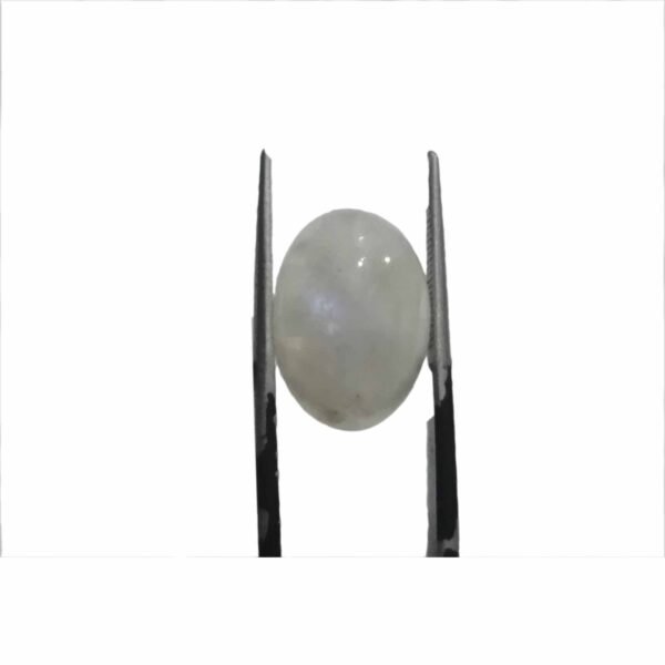 Moonstone Rainbow 11.50ct