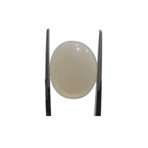 Moonstone 10.90ct