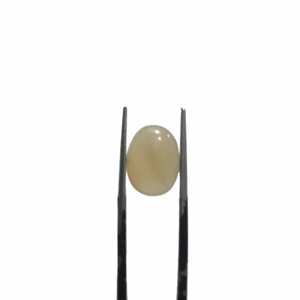 Moonstone 4.90ct
