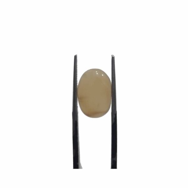 Moonstone 5.30ct