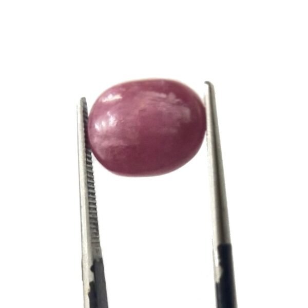 Indian Ruby 6.00ct