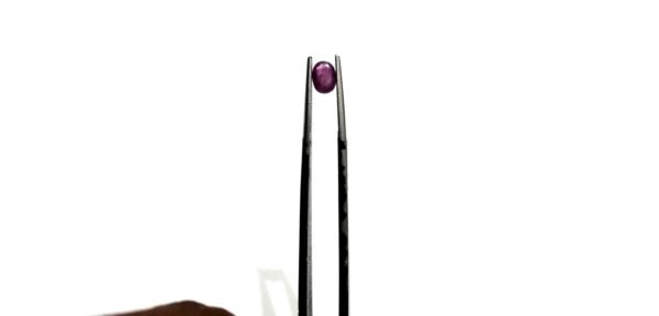 Kashmir Neelum 0.65ct