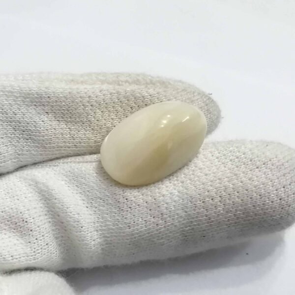 Mother Of Pearl stone / Seep 25.95ct - Image 2