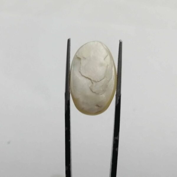 Mother Of Pearl stone / Seep 25.95ct - Image 3