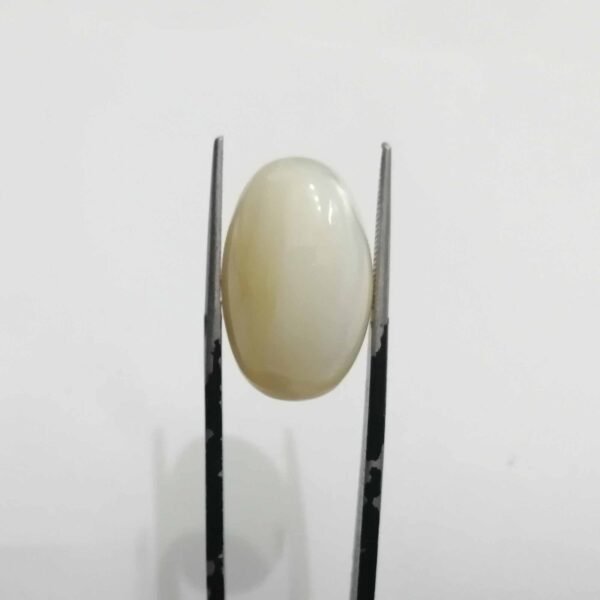 Mother Of Pearl stone / Seep 22.85ct