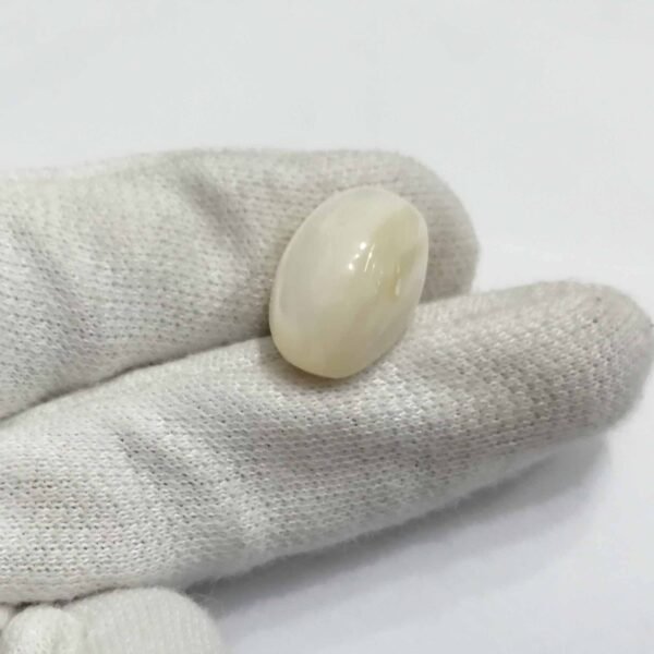 Mother Of Pearl stone / Seep 22.85ct - Image 2