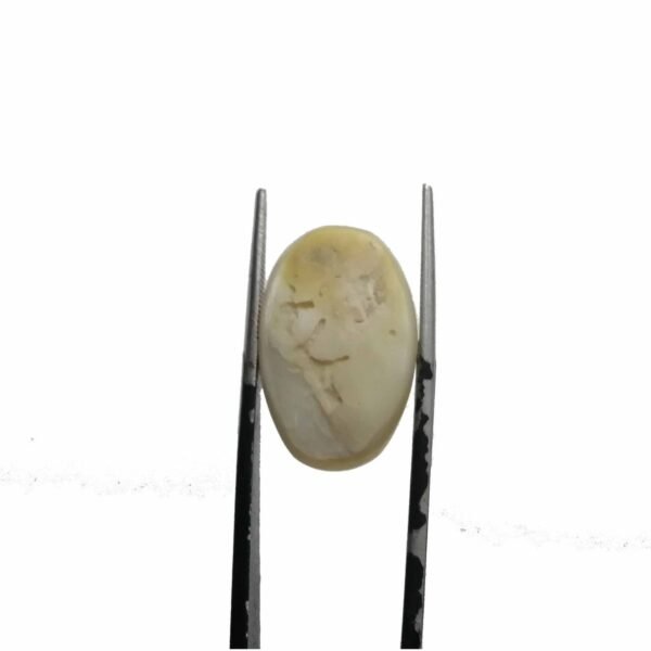 Mother Of Pearl stone / Seep 22.85ct - Image 3
