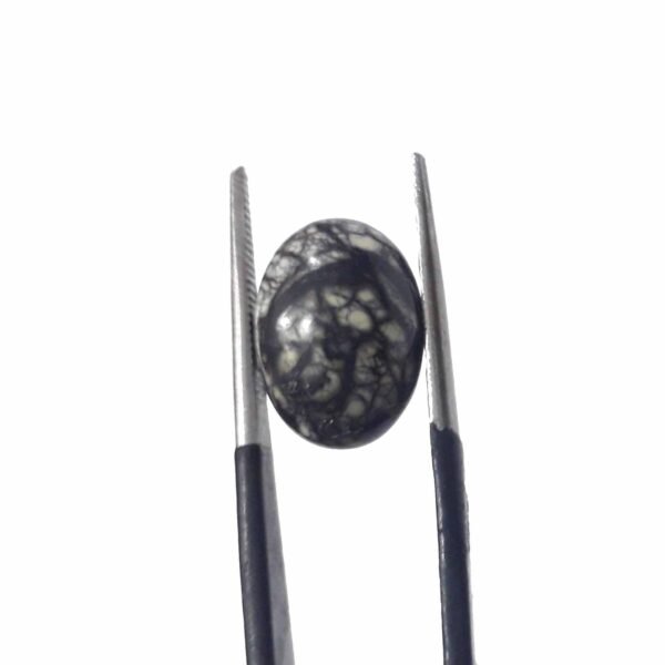 Serpentine 5.80ct