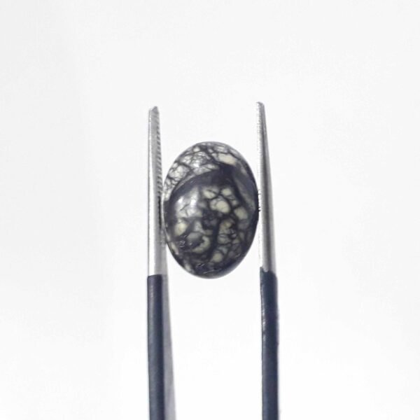 Serpentine 5.80ct - Image 3