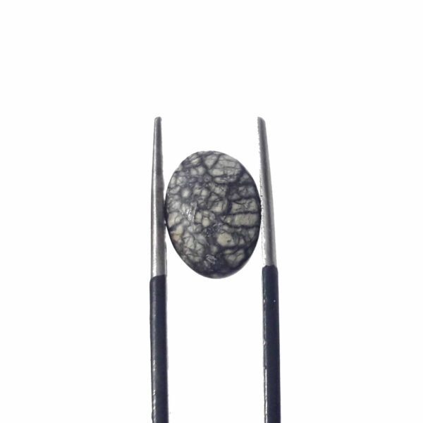 Serpentine 5.80ct - Image 4