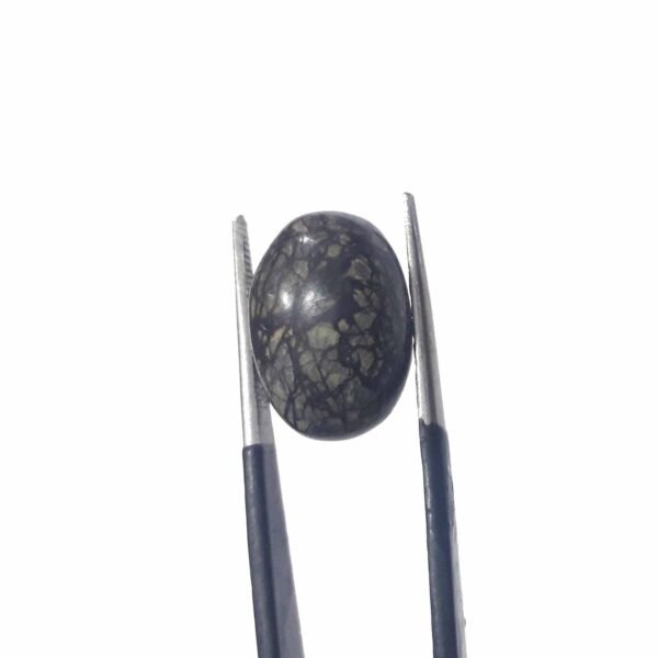 Serpentine 10.25ct
