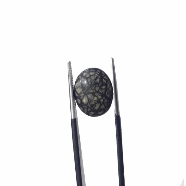 Serpentine 7.40ct