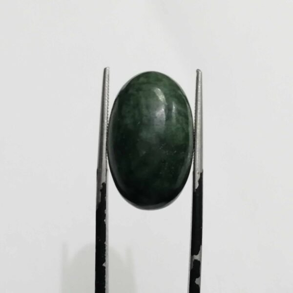 Serpentine 16.60ct