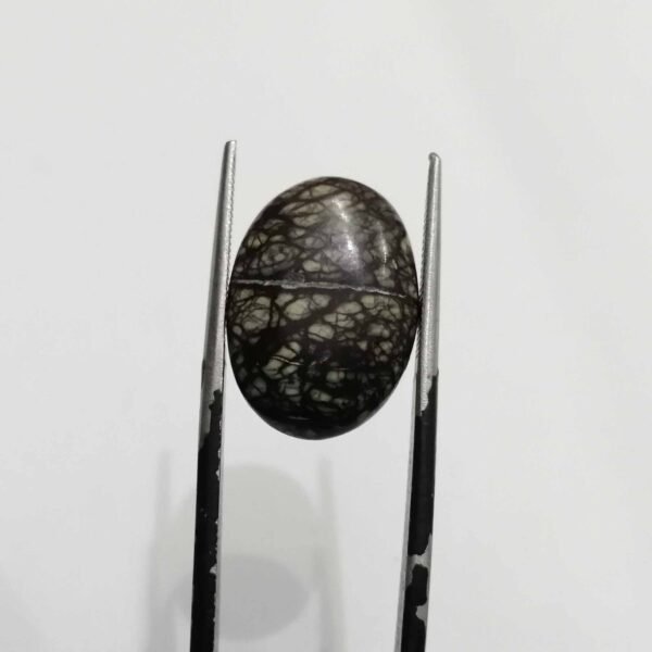 Serpentine 8.60ct