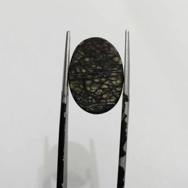 Serpentine 8.60ct - Image 3
