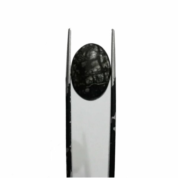 Serpentine 10.00ct