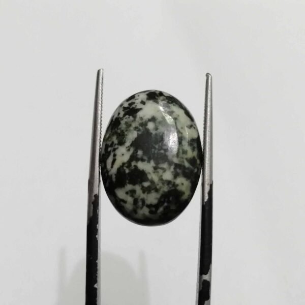 Serpentine 11.70ct