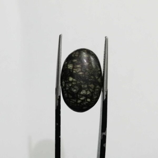 Serpentine 7.95ct