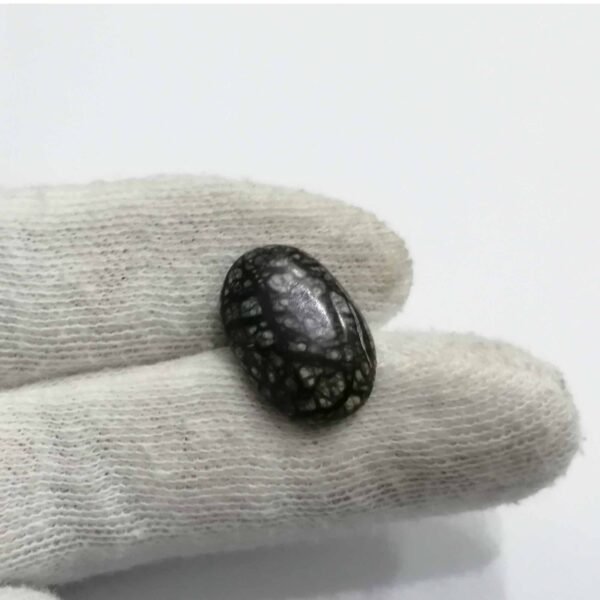 Serpentine 9.80ct - Image 2