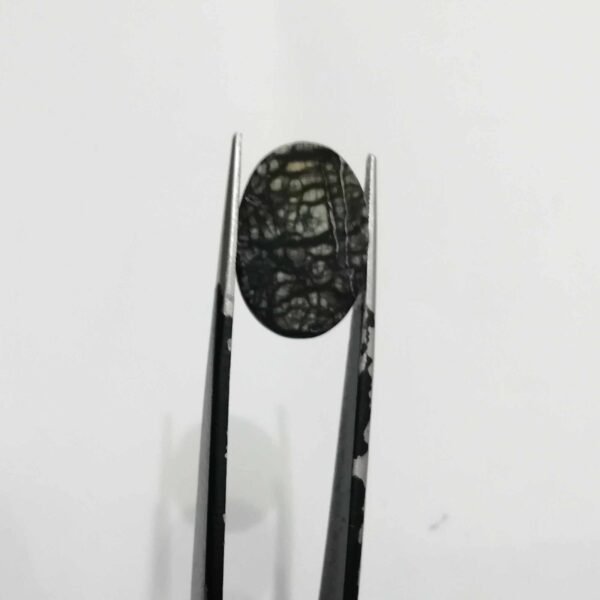 Serpentine 9.80ct - Image 3