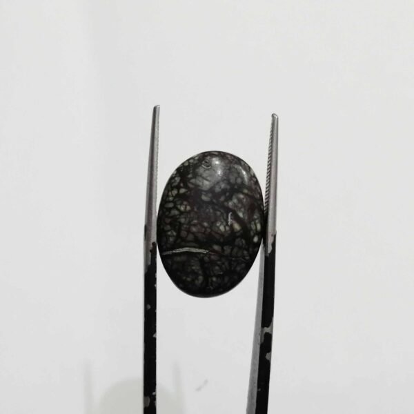 Serpentine 8.55ct