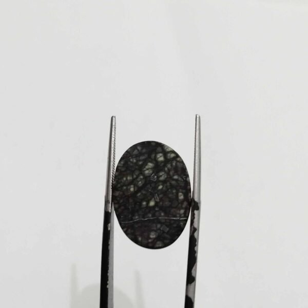Serpentine 8.55ct - Image 3