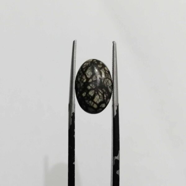 Serpentine 4.20ct