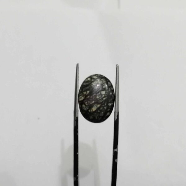 Serpentine 6.75ct
