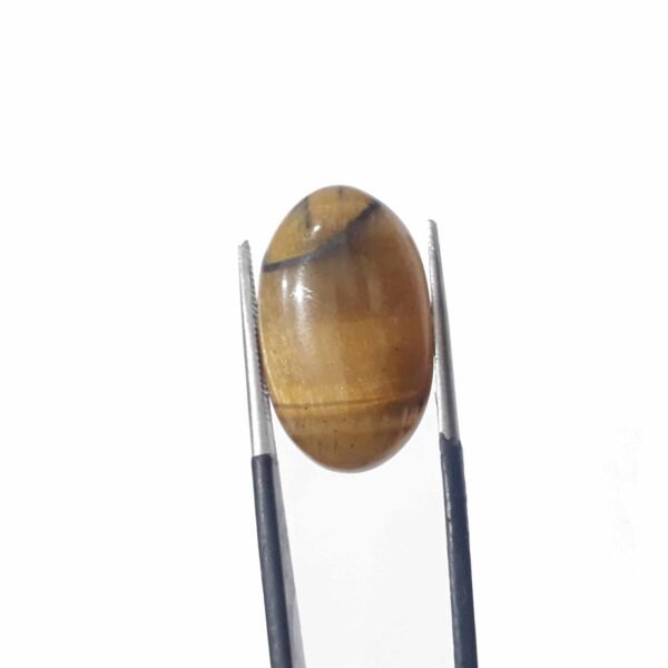 Tiger Eye 15.65ct