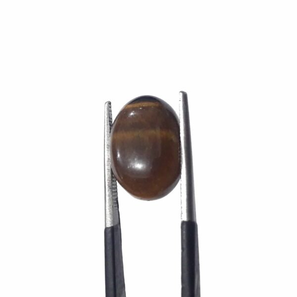 Tiger 7.25ct