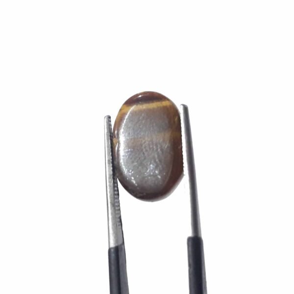 Tiger 7.25ct - Image 4