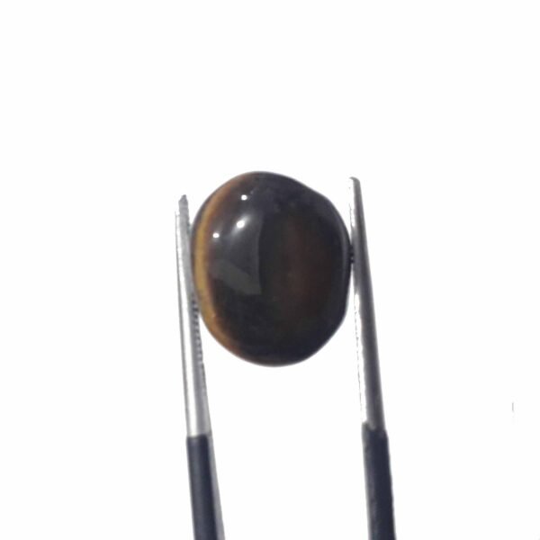 Tiger 8.25ct