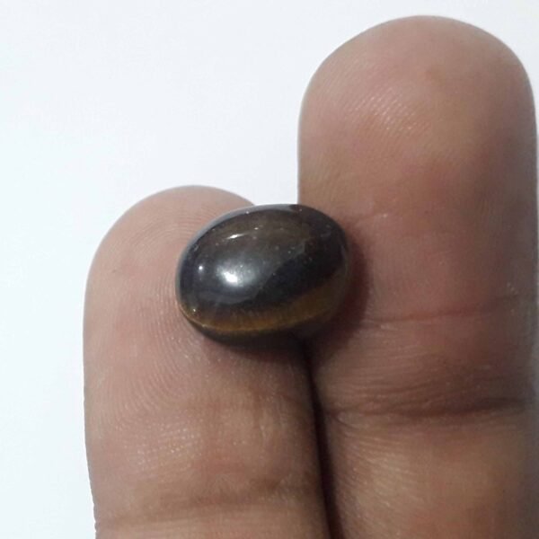 Tiger 8.25ct - Image 2