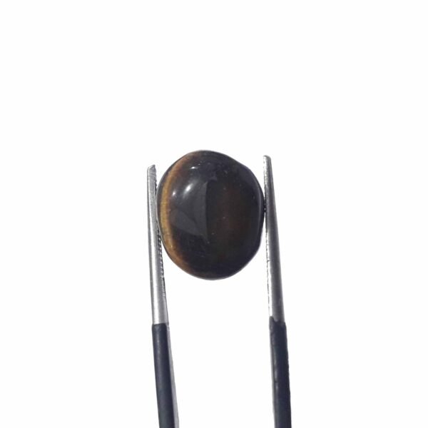 Tiger 8.25ct - Image 3