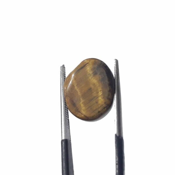 Tiger 8.25ct - Image 4