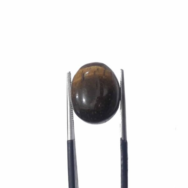 Tiger 10.30ct Eye